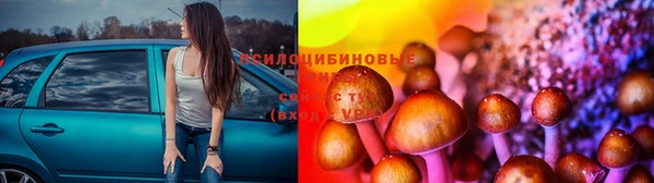 спиды Архангельск
