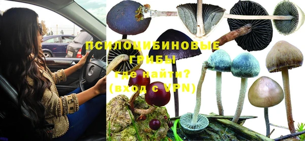 спиды Лиски