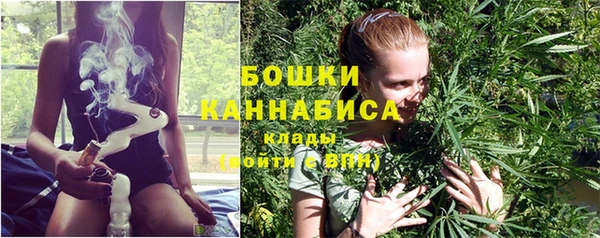 твердый Лабытнанги